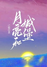 月亮和城堡(先婚后爱,1V1)